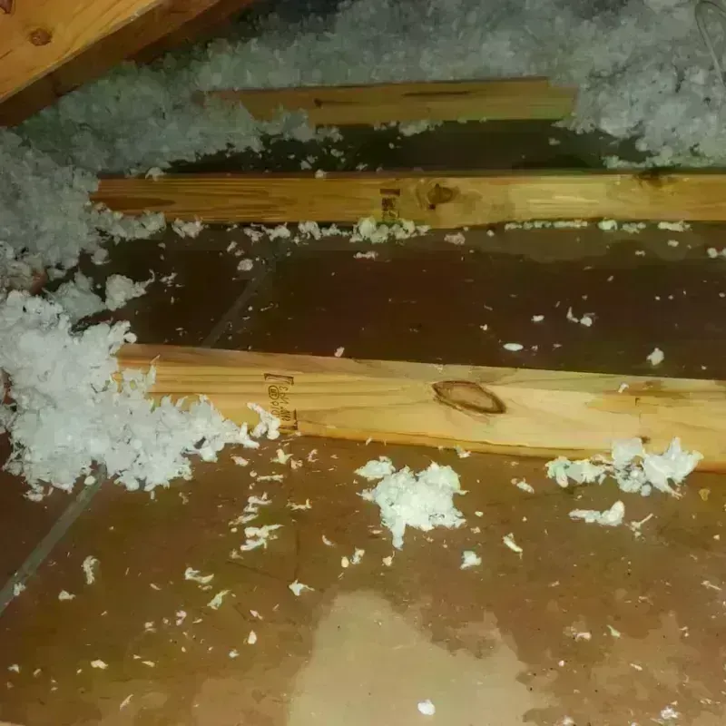 Attic Water Damage in New London, OH