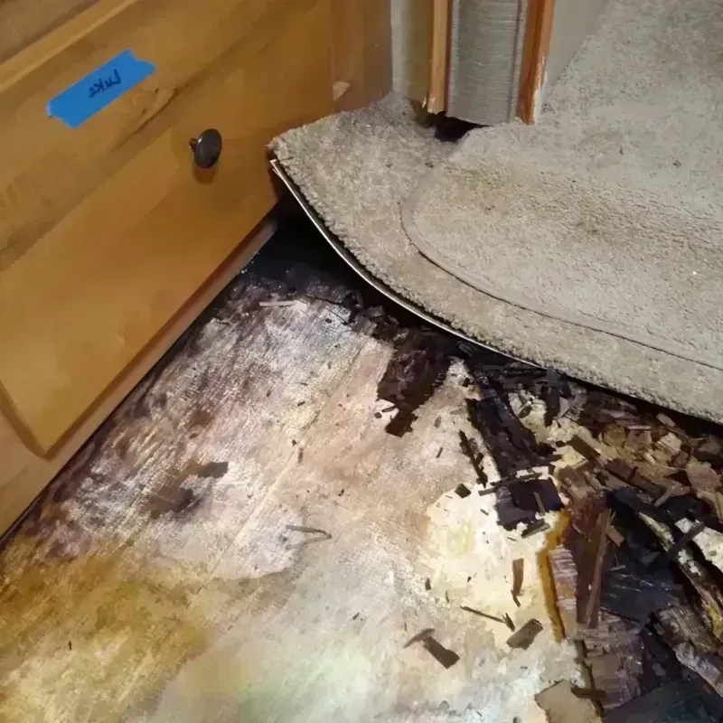 Wood Floor Water Damage in New London, OH